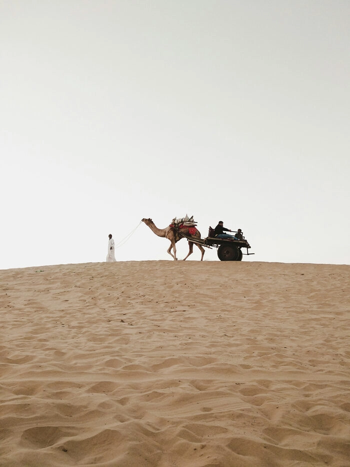 Индия — день 2